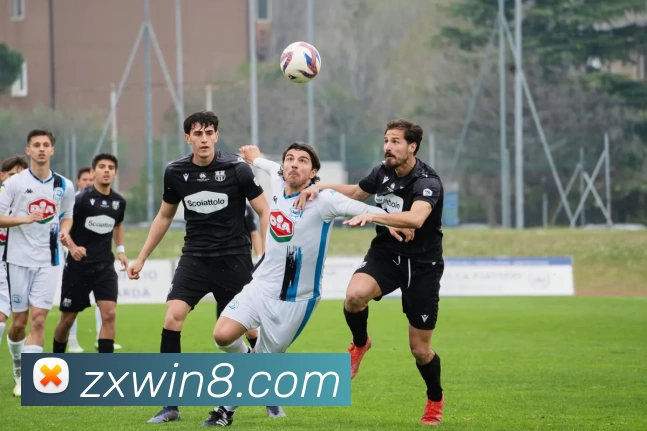 众星娱乐官网品牌故事