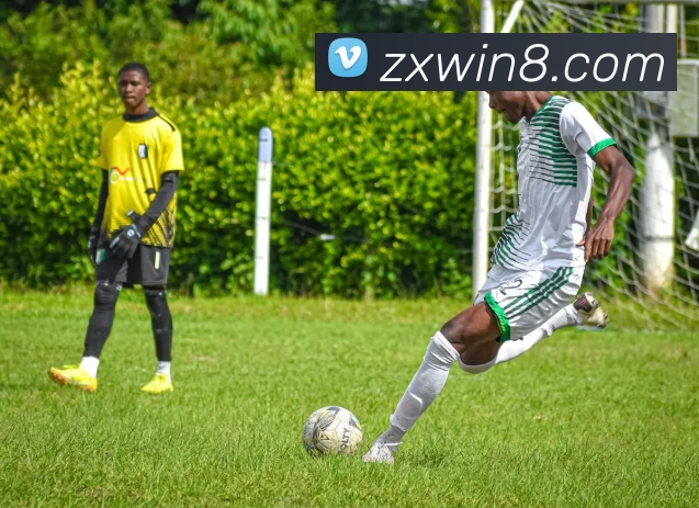 众星娱乐官网服务体系